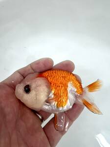  goldfish speciality shop [GOOD's Gold Fish shop Nagoya ] Thai production *..* golgfish * high pli tea series 