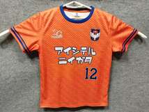 オフィシャル サッカー フットサル アルビレックス新潟 コンフィットシャツ Tシャツ 半袖 [サイズ: L /カラー: 写真参照]_画像1