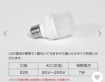 行灯 屋外 LEDランプ式京行灯 店舗看板 LED看板 Mサイズ 屋外用 和風タイプ 100v ①_画像4