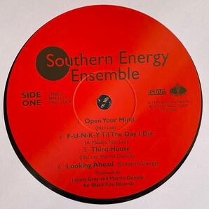 Southern Energy Ensemble/ Southern Energy アナログの画像3