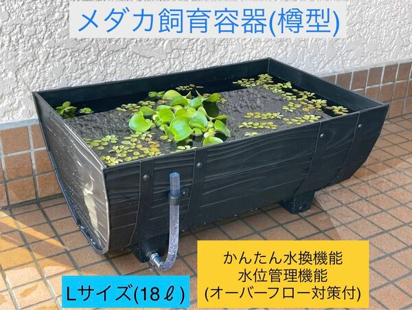 メダカ飼育容器(樽型) 【18L】「かんたん水換え機能」&「水位管理機能」付 24013