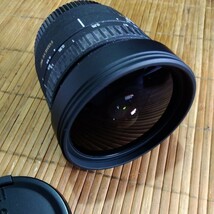 シグマ　8mm 1:4EX フィッシュアイレンズ　for キヤノン EF_画像5