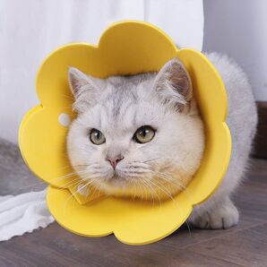 Apettogo エリザベスカラー 猫 犬 ソフト 軽量 防水 傷舐め防止引っ掻き防止傷口保護 手術後のケア 柔らかいイエロー、S