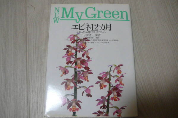 ●エビネ12カ月 NEW MY GREEN 古本