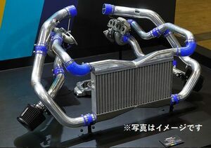 自動車関連業者直送限定 TRUST トラスト GReddy ボルトオン ターボキット NISSAN ニッサン フェアレディZ Z34 T517Z-8cm2 (11520097)