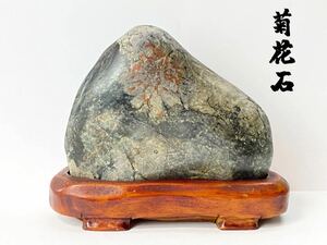 C2126 鑑賞石 菊花石 天然石 木製台座付