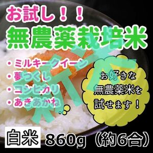 令和5年産【お試し！860g(約6合 )選べる無農薬米 [白米]