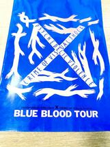X BLUE BLOOD TOUR 当時物　縦51センチ　YOSHIKI HIDE (24歳) 横須賀　バンド　90年代　検) エックス　希少　コレクター_画像6