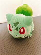 新品未使用タグ付き ぬいぐるみ ポケモン ポケットモンスターフシギダネぬいぐるみ_画像1