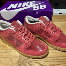 Nike SB Dunk Low Adobe_画像5