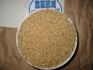 [ prompt decision including carriage ]. peace 5 year production new rice * Toyama go in .. chemistry fertilizer Koshihikari *. rice 5kg( brown rice low temperature storage )