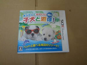オシャレでかわいい子犬と遊ぼ! 海編 3DS