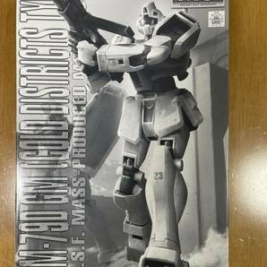 ＭＧ 1/100 ジム（寒冷地仕様） プレミアムバンダイ限定 希少の画像1