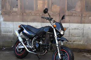 Kawasaki ★ KSR110 ☆ KL110 ☆ Популярный распроданный wr`s Muper Z Monkey Dax Grom Klx D Tracker