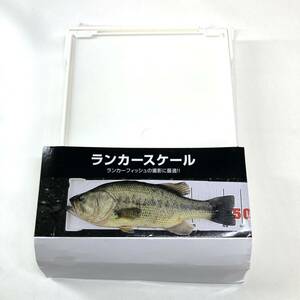  Daiwa (DAIWA) Major Ran car scale 