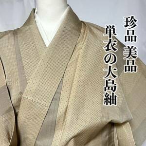 ●きもの翠● 珍品 美品 大島紬 お洒落 単衣 夏用 小紋 縦縞 和装 和服 着物 正絹 #X002