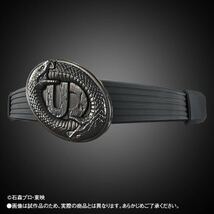 仮面ライダー剣 CREATURE GADGET ARCHIVES 「アンデッドバックル」プレバン 限定品　未開封ですが輸送箱に水濡れの跡あり_画像9