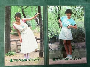 【未開封】鳥越マリ　マルベル堂プロマイド写真2枚　スレンダー　昭和タレント
