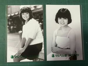 【未開封】日高のり子　マルベル堂プロマイド写真2枚　ミニスカ　太股　昭和タレント