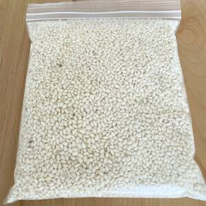 餅米 もち米 10合 1.5kg 令和5年度産 農薬不使用栽培