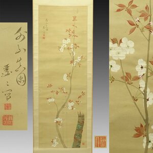 【真作】喜聞◆『織田瑟瑟 桜花図(外山桜)』 1幅 古筆 古文書 古書 日本画 女流画家 桜の絵画 江戸絵画 三熊露香に学ぶ 茶道 近江 江戸後期