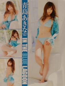 ★彡 青島あきな・鎌田奈津美・富樫あずさ・相川友希・田代さやか 雑誌グラビア切抜き 7P ＃セクシービキニ ＃美尻 ＃美乳 当時物 ★彡