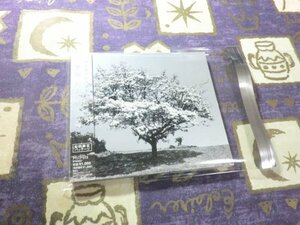 【合わせ買い不可】 ハナミズキ CD 一青窈