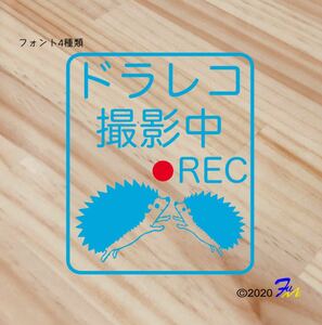 ドライブレコーダー08 ステッカー 文字4種類から選べる 全28色 #drFUMI #ドラレコ ハリネズミ