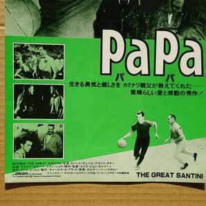 映画チラシ【 PaPa パパ 】ロバート・デュバル 03250の画像3