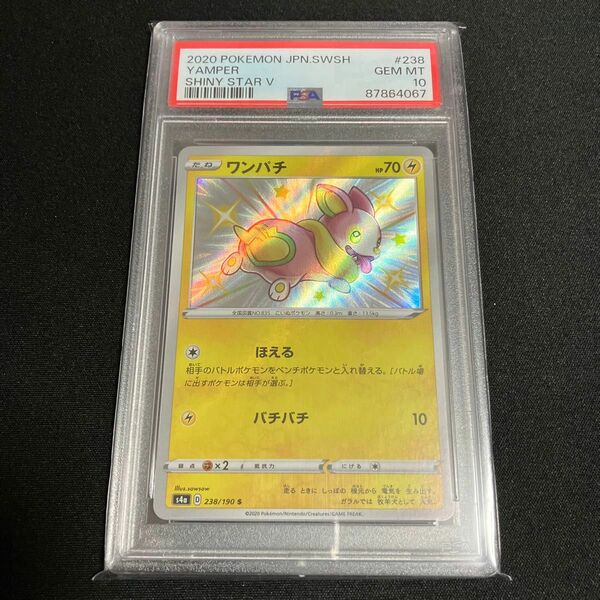 ワンパチ 色違い S PSA10