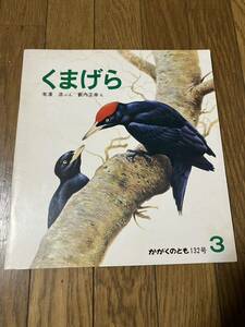 060401中古本かがくのともソフトカバー『くまげら』薮内正幸え