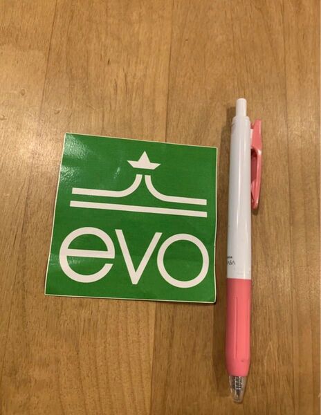 アメリカアウトドアショップ evo.comシール 送料込 ステッカー