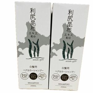 利尻昆布ヘアカラーシャンプー250ｍL (ブラウン) ×2個