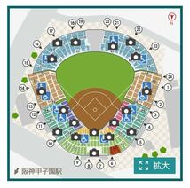 4月28(日)阪神甲子園球場　阪神vsヤクルト　グリーンシート　2連番ペアチケット_画像2