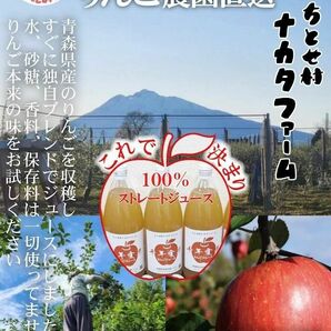 青森県弘前市産直　りんごジュース　無添加　1㍑6本入り　特別ブレンド