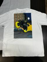 Schott ショット TEE GHOST RIDER ゴーストライダー Mサイズ_画像3