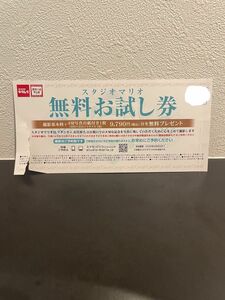 スタジオマリオ　無料お試し券　2025年2月末日まで