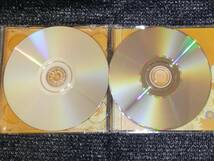☆サイケデリックス「New Classics」帯付き CD + DVD _画像7