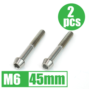 64チタン合金ボルト M6×45mm P1.0 2本セット テーパーキャップ ゆうパケット対応 焼き色なし Ti-6Al-4V