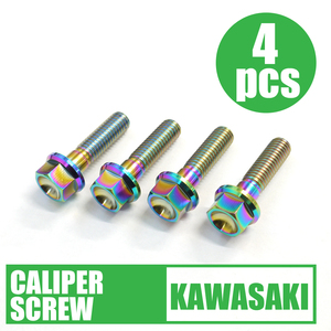 ZZR1200 for 64 titanium made front caliper mount bolt 4 pcs set roasting color Rainbow Ti-6Al-4V