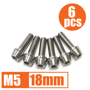 64チタン合金ボルト M5×18mm P0.8 6本セット ワッシャー付き テーパーキャップ ゆうパケット対応 焼き色なし Ti-6Al-4V