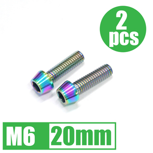 64チタン合金ボルト M6×20mm P1.0 2本セット テーパーキャップ ゆうパケット対応 焼き色有り Ti-6Al-4V