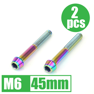 64チタン合金ボルト M6×45mm P1.0 2本セット テーパーキャップ ゆうパケット対応 焼き色有り Ti-6Al-4V