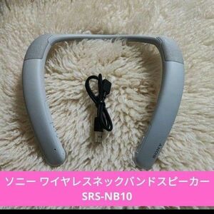 ソニー ワイヤレスネックバンドスピーカー SRS-NB10