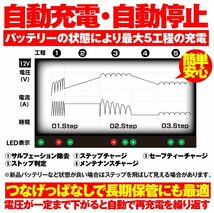 DAYTONA スイッチングバッテリーチャージャー12V(回復微弱充電器) デイトナ 95027_画像3