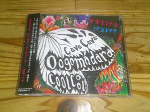 CD：沖至トリオ オオゴマダラ サバ サバ！ クール クール！ OOGOMADARA a va. a va ! Cool Cool !：帯付：川下直広、波多江崇行