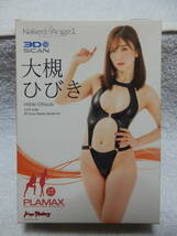 1/20 大槻ひびき プラマックス PLAMAX Naked Angel_画像1