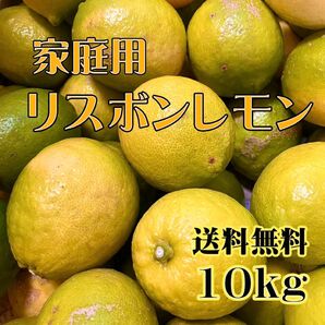 減農薬 熊本県産 リスボン レモン 家庭用10kg 送料無料