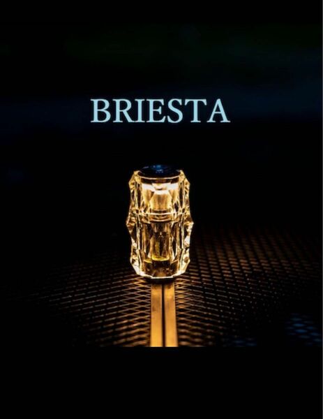 [新品未使用]BRIESTA ブリエスタ　クリア