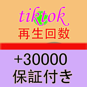 【おまけ Tiktok 30000 再生回数 ティックトック 動画 3万 再生数 】YouTube Tiktok 増加ツール インスタ フォロワー チャンネル登録者数 